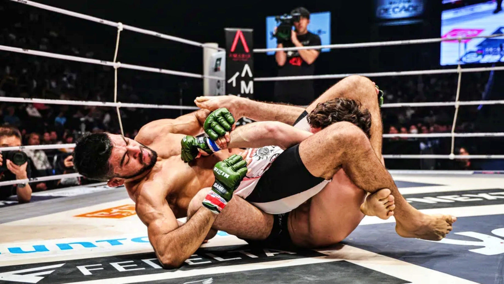 RIZIN 49: Decade - Epic New Year's Eve Showdown Crowns New Champion