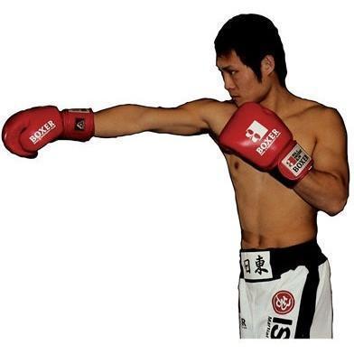 Isami Pro Boxing Gloves-Boxer-ChokeSports