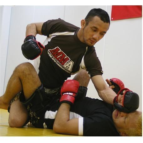 MMA Pounding Gloves-Isami-ChokeSports