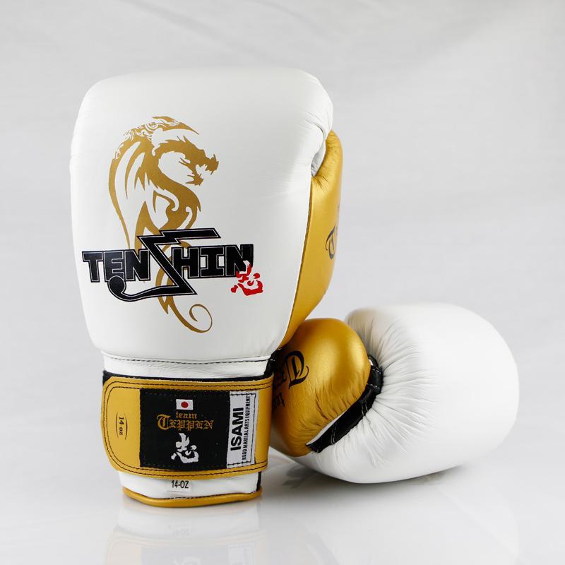 Tenshin Boxing Gloves